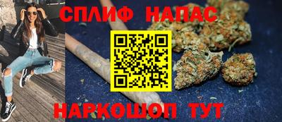 шишки Брянск