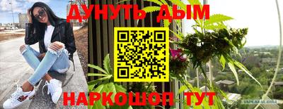 шишки Брянск