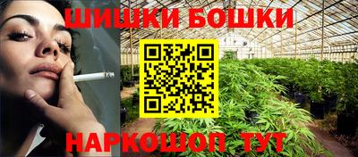 шишки Брянск